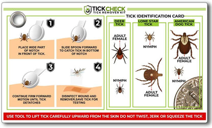 Tick Remover Spoon - 3 Pack of Lightweight Tick Remover Tools with Free Tick ID Card & Carabiner (1 Set, 3 Spoons)